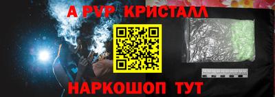 спиды Гай