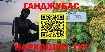 спиды Гай