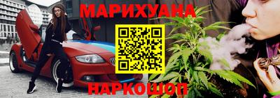спиды Гай