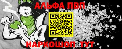 спиды Гай