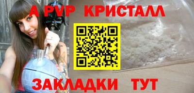 спиды Гай