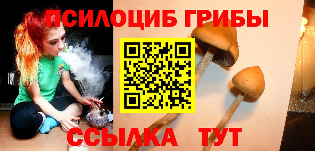 Галлюциногенные грибы MAGIC MUSHROOMS Кубинка